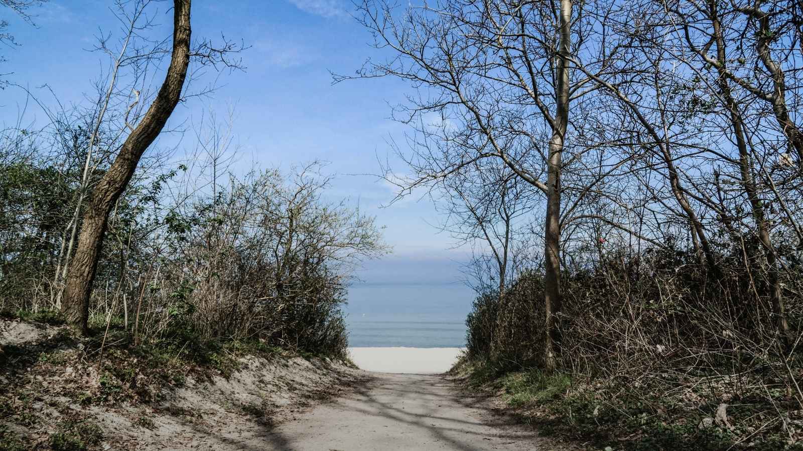 reserve-naturelle-rimigliano